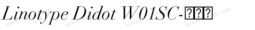 Linotype Didot W01SC字体转换